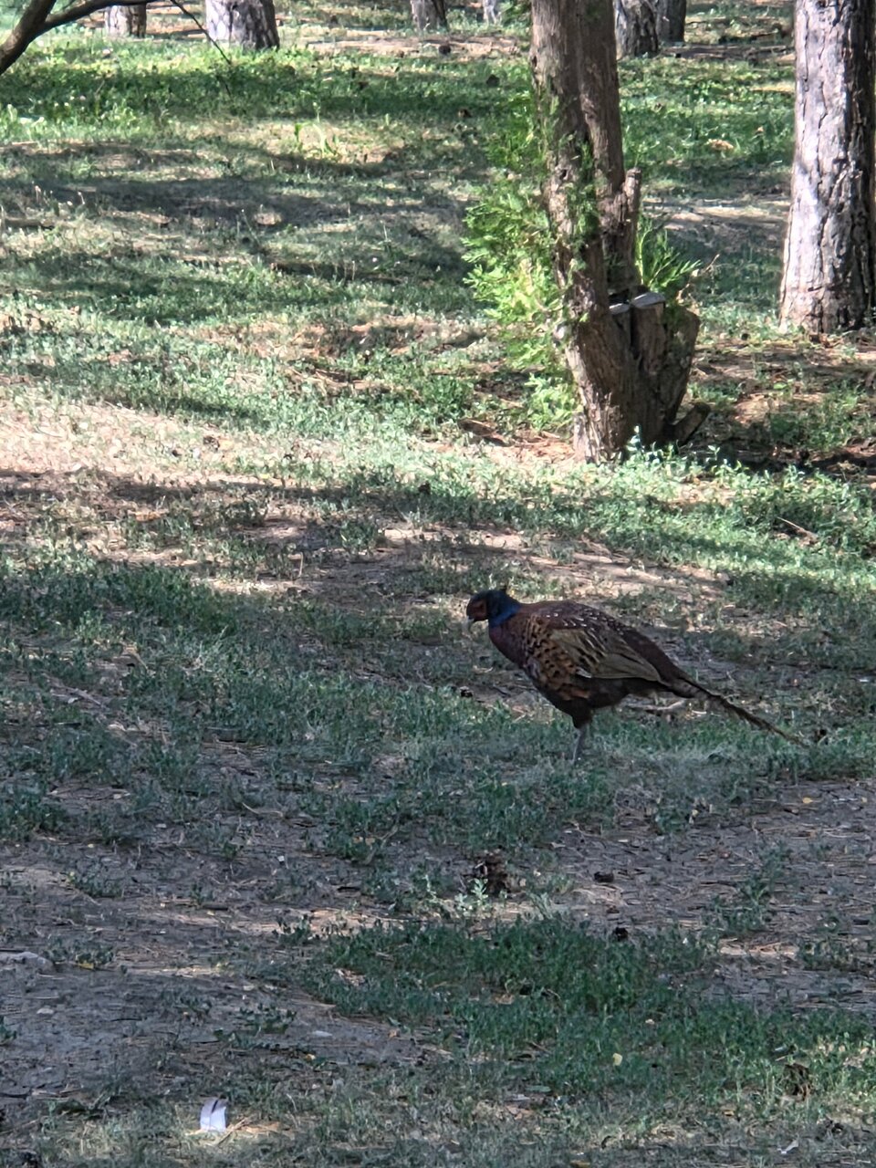 Гостиница Сталинград Волгоград-164