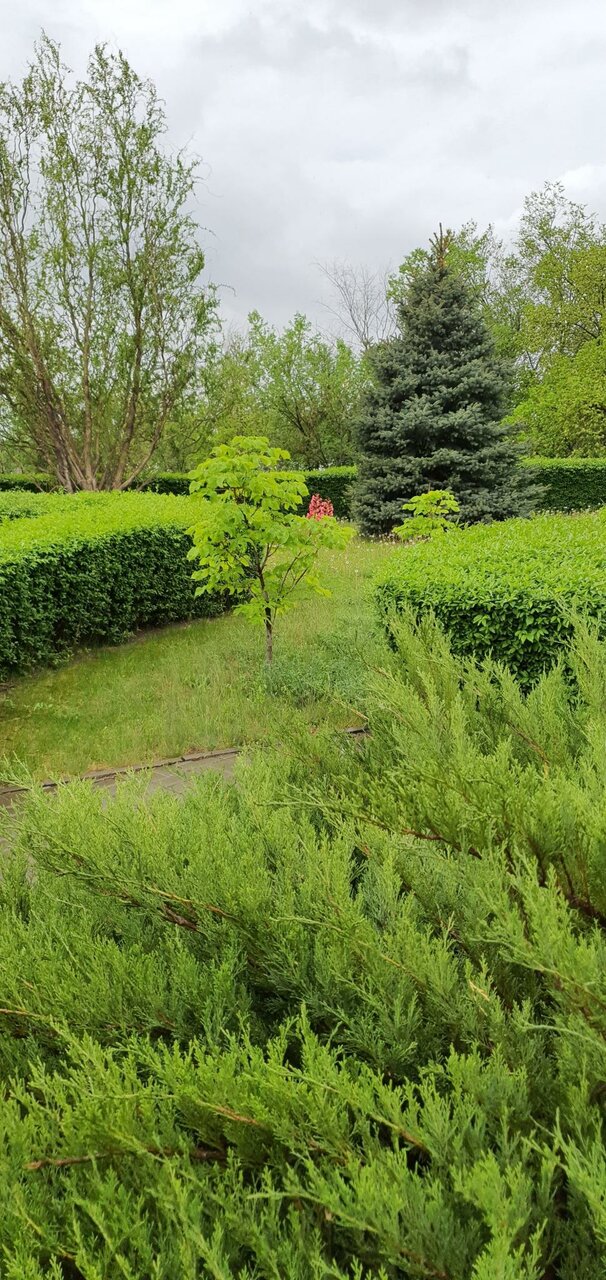 Гостиница Сталинград Волгоград-9