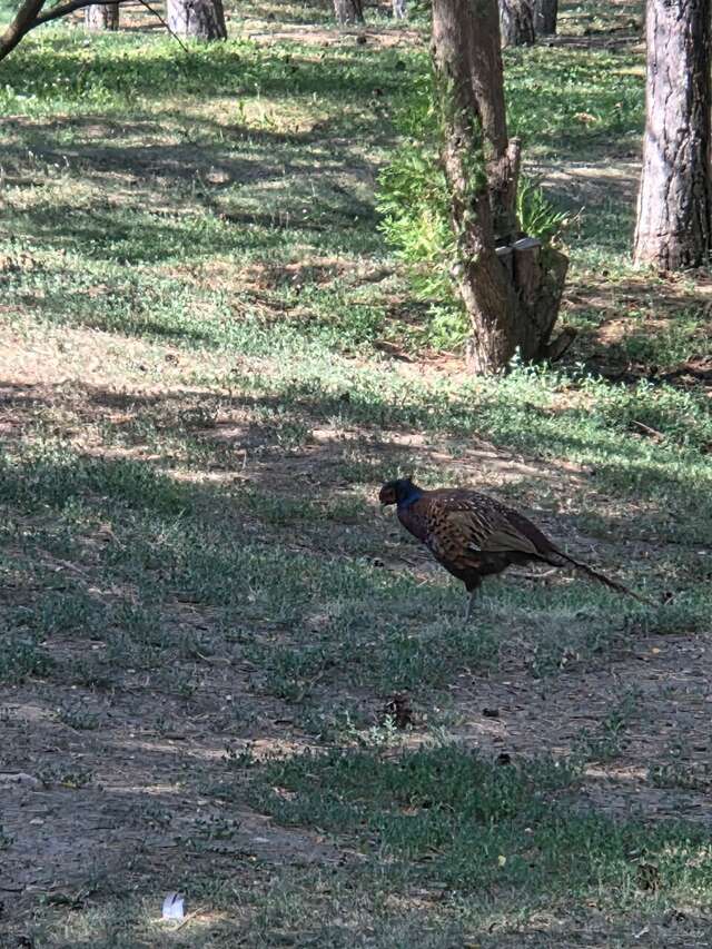 Гостиница Сталинград Волгоград-163