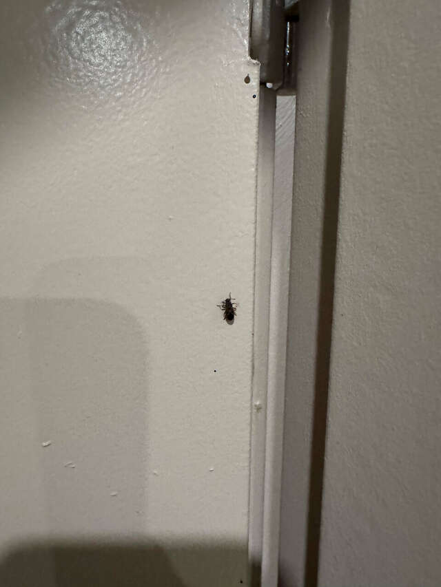 Гостиница Сталинград Волгоград-244